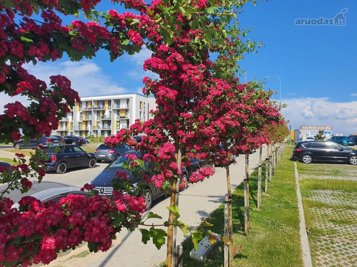 New Studio Free Parking Klaipėda Eksteriør billede